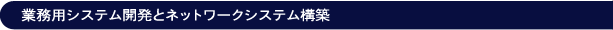 �Ɩ��p�V�X�e���J���ƃl�b�g���[�N�V�X�e���\�z