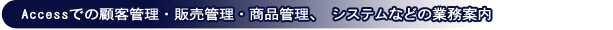 Access�ł̌ڋq�Ǘ��E�̔��Ǘ��E���i�Ǘ��A�V�X�e���Ȃǂ̋Ɩ��ē�